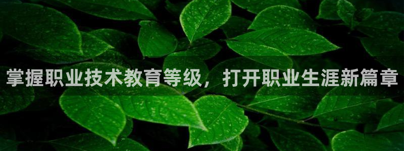 j9电竞官网|掌握职业技术教育等级，打开职业生涯新篇章