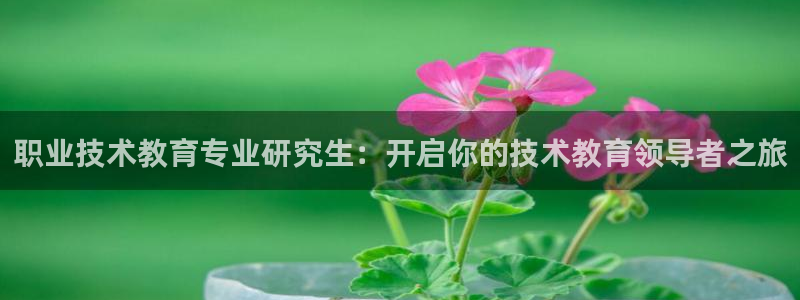 九游官网入口j9|职业技术教育专业研究生：开启你的技术教育领导者之旅