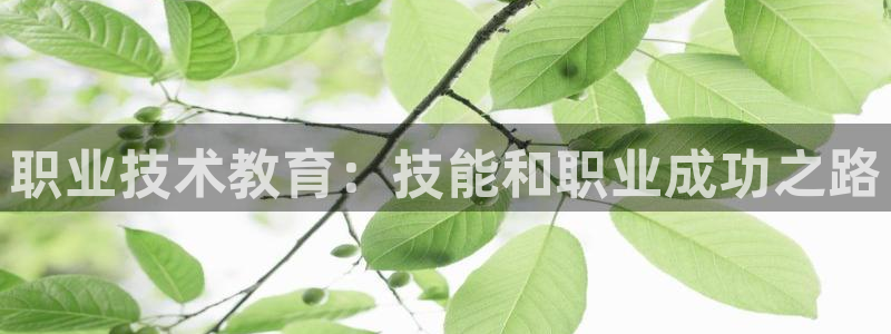 九游会真人第一品牌游戏合营|职业技术教育：技能和职业成功之路